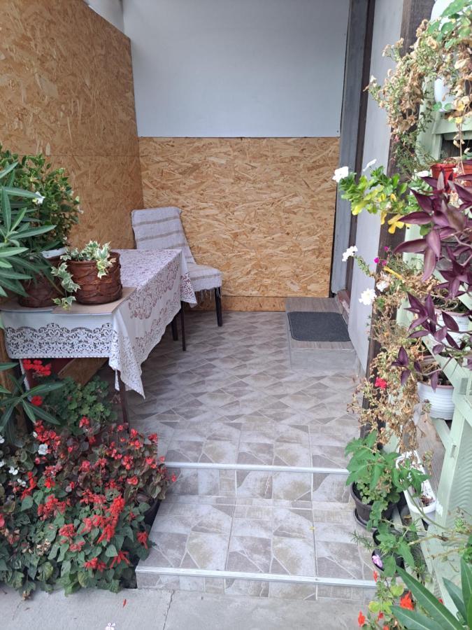 Apartment Capital Town Vk 14 Novi Sad Exteriör bild